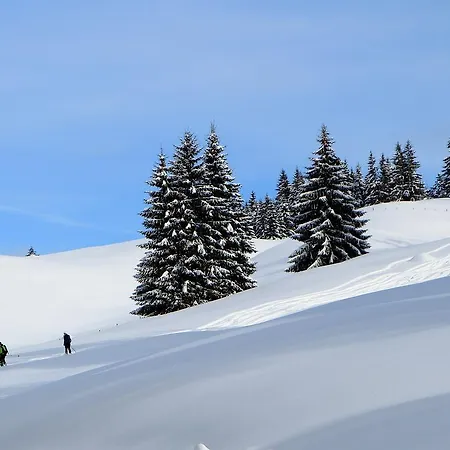 شقة هاوس فيورشتاين هيتيساو