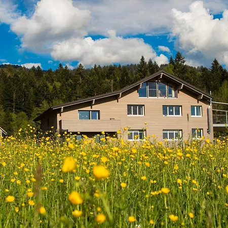 Appartement Haus Feurstein Hittisau