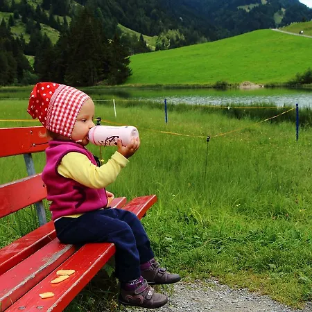 هاوس فيورشتاين