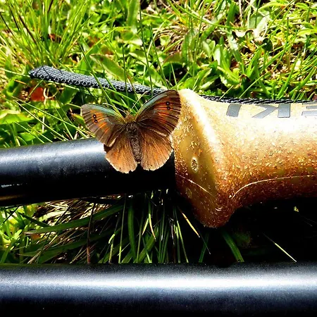 هاوس فيورشتاين شقة *