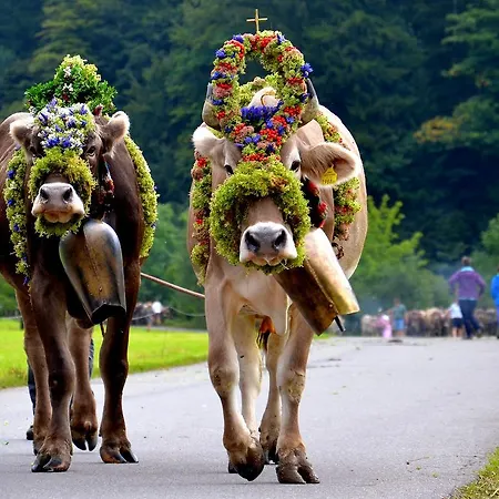 شقة هاوس فيورشتاين *