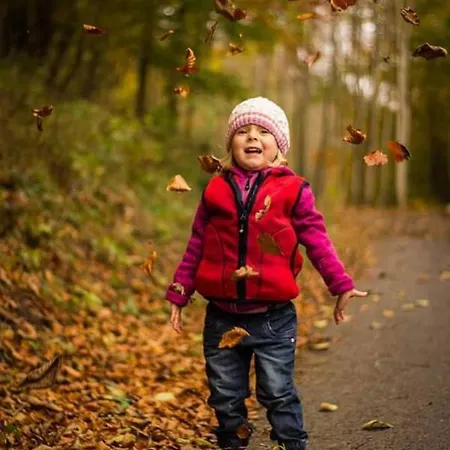 هاوس فيورشتاين هيتيساو