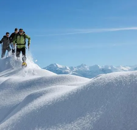 هاوس فيورشتاين