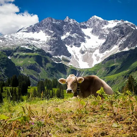 Apartament Haus Feurstein