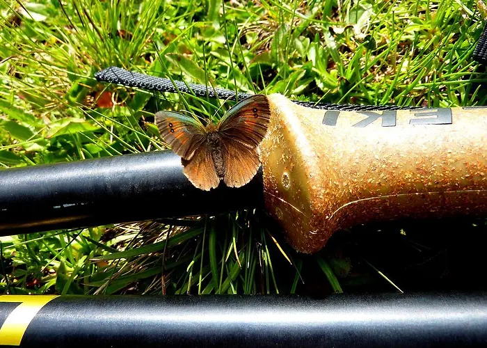 Haus Feurstein Apartament *